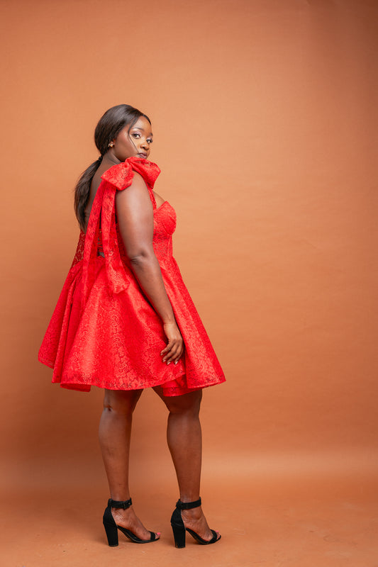 Ruby Mini Dress - Red